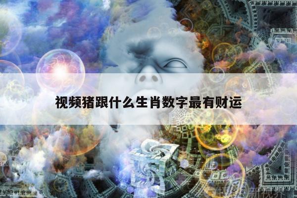 视频猪跟什么生肖数字最有财运