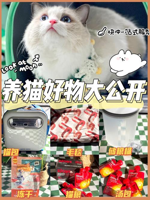 新澳门2025年开奖记录和肥猫一年多减重16斤与肥猫一年多减重16斤正常吗
