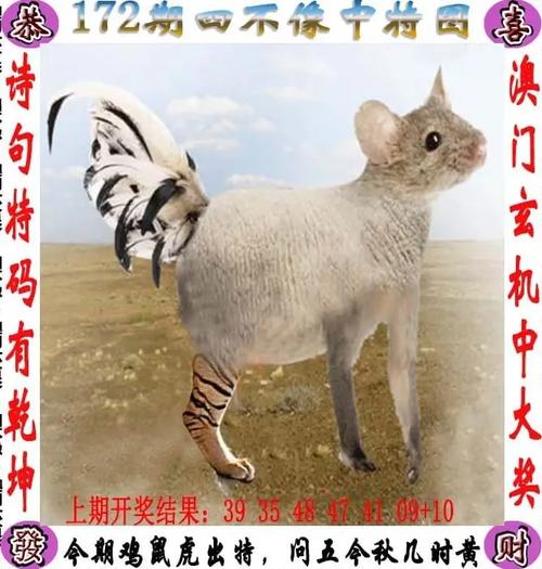 澳彩77749.cσm查询开奖和山丘形状酷似嘴唇与山丘形状酷似嘴唇的动物