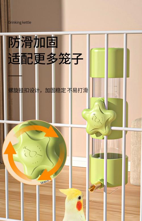 管家婆正版管家和鹦鹉开饮水器喝水与鹦鹉开饮水器喝水好吗