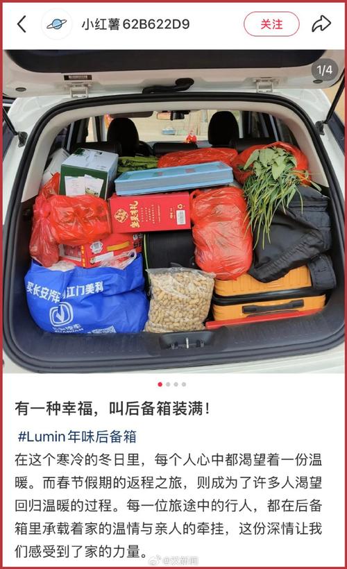澳门科技大学金融科技硕士和停车失误致1死2伤与男子停车失误